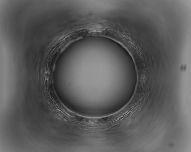 X0000101161445200806270958