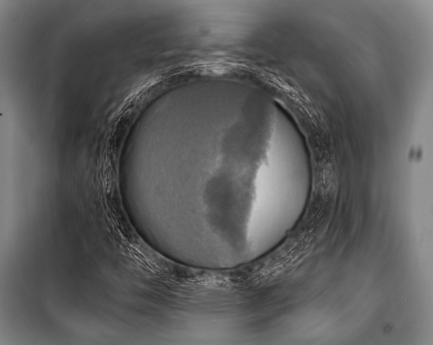 X0000101161446200806270958