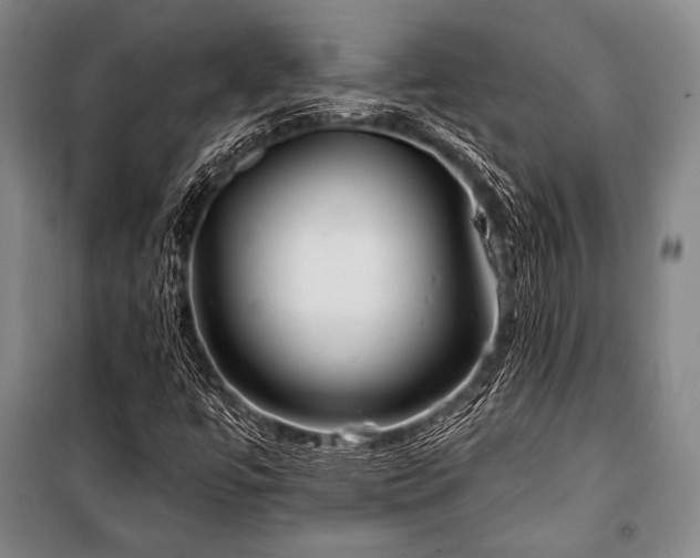X0000101161447200806270958