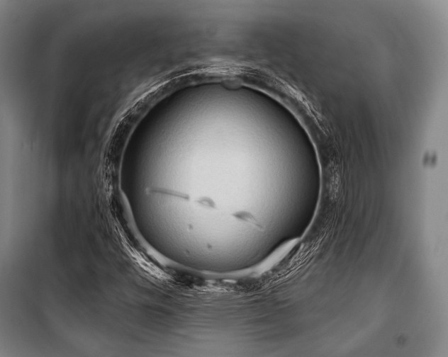 X0000101161448200806270958