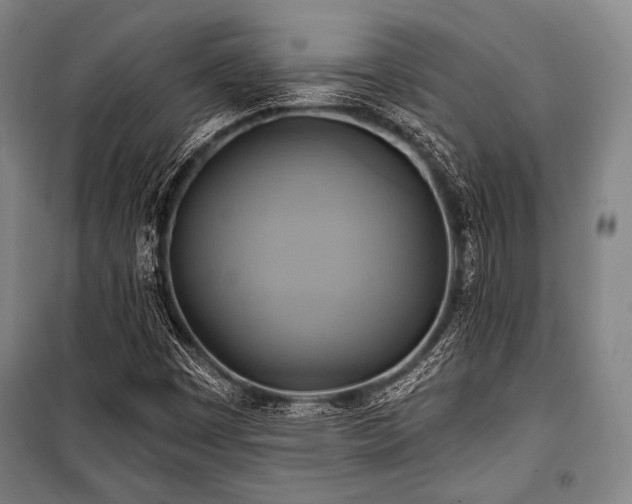 X0000101161449200806270958