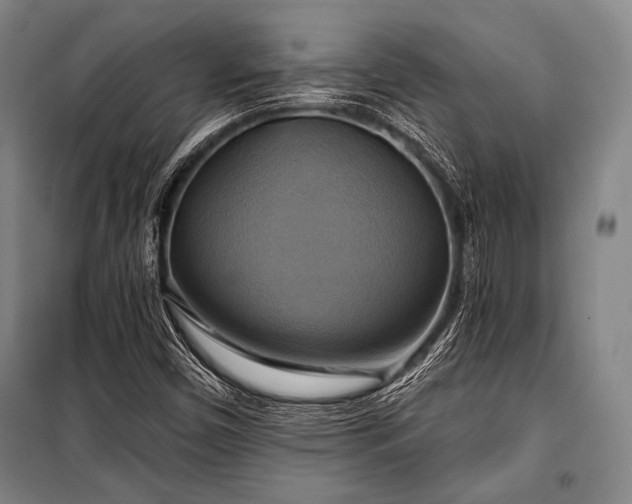 X0000101161450200806270958