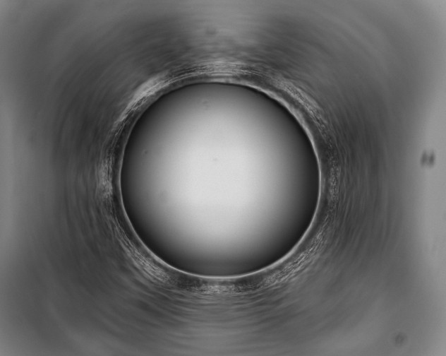 X0000101161451200806270958