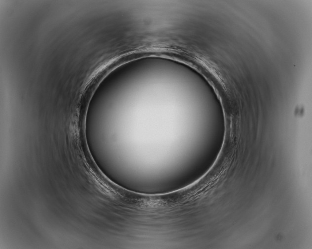X0000101161452200806270958