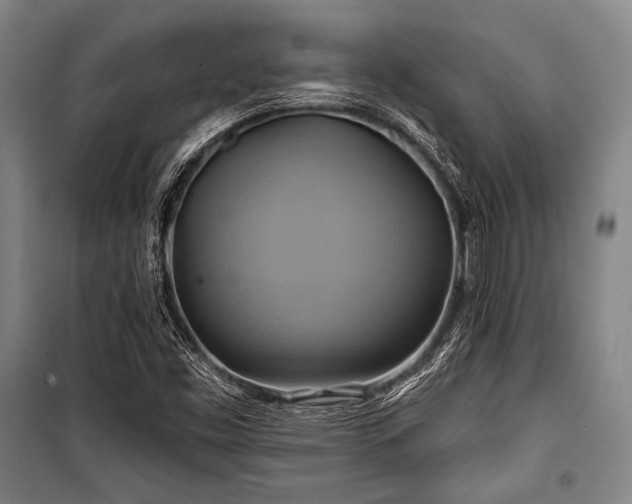X0000101161453200806270958