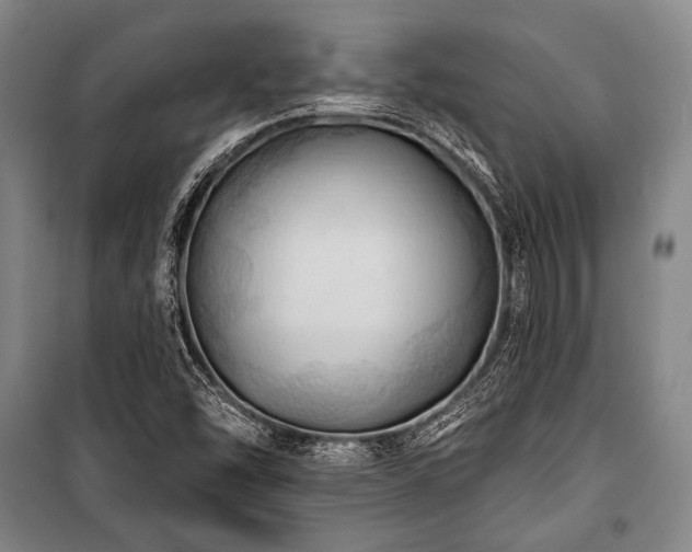 X0000101161454200806270958