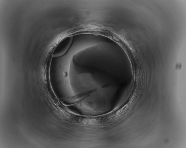 X0000101161455200806270958