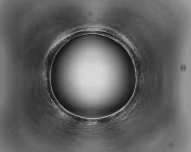 X0000101161456200806270958