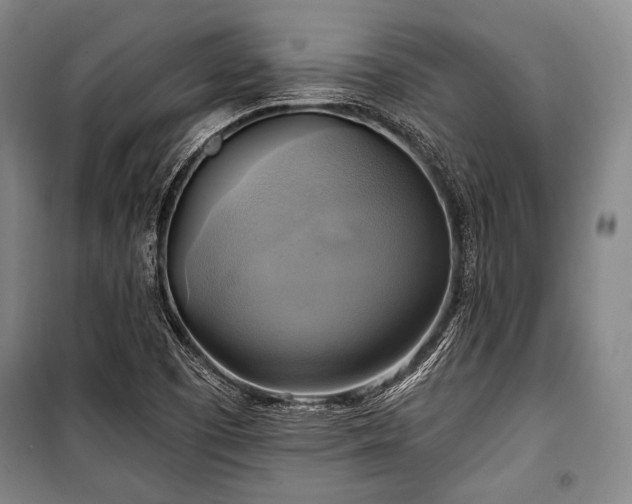 X0000101161457200806270958