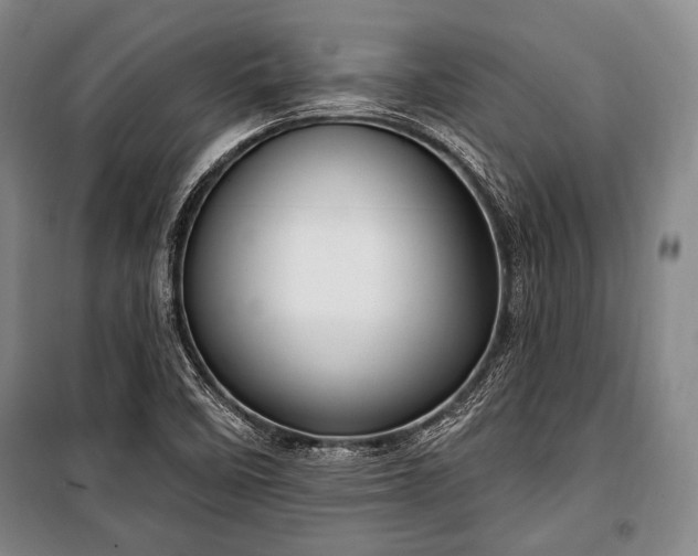X0000101161458200806270958