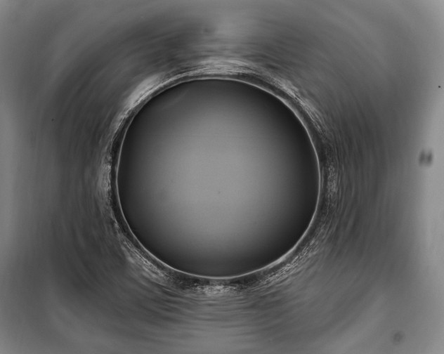 X0000101161459200806270958