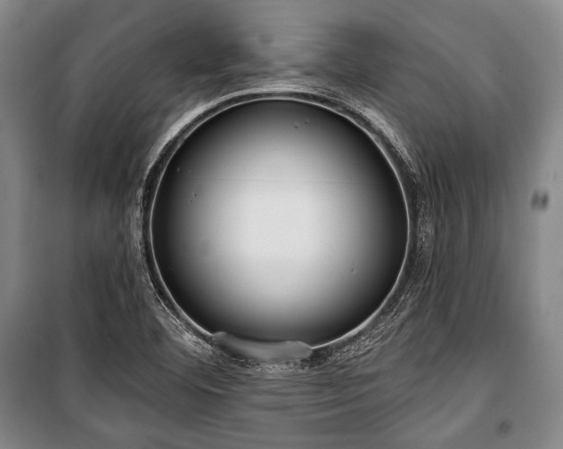 X0000101161460200806270958