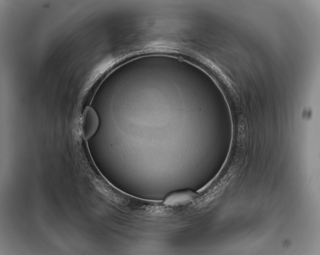 X0000101161461200806270958