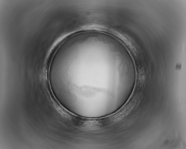 X0000101161462200806270958