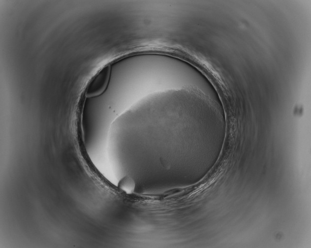 X0000101161463200806270958