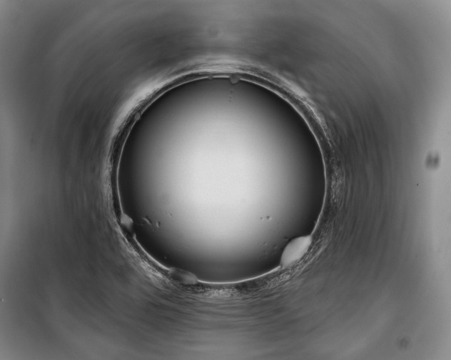 X0000101161464200806270958
