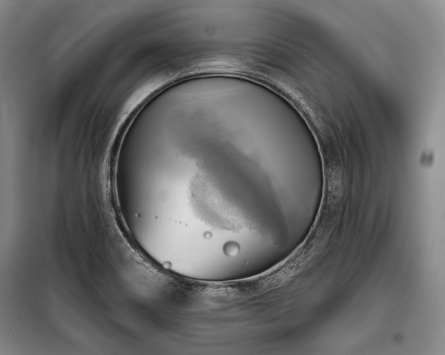 X0000101161466200806270958