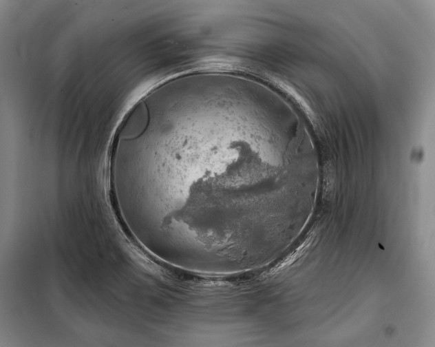 X0000101161467200806270957