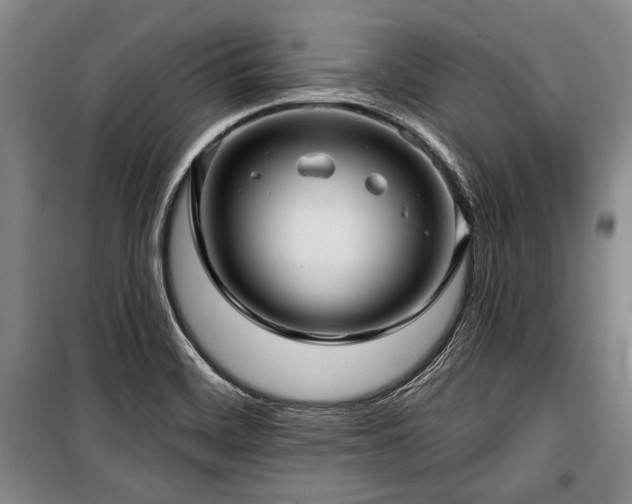 X0000101161468200806270957