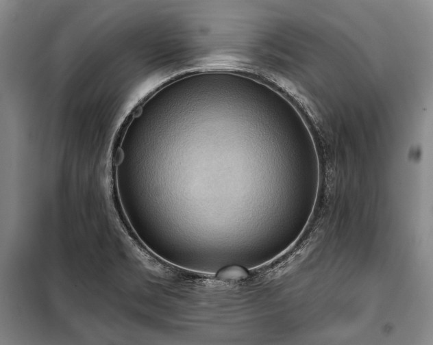 X0000101161469200806270957