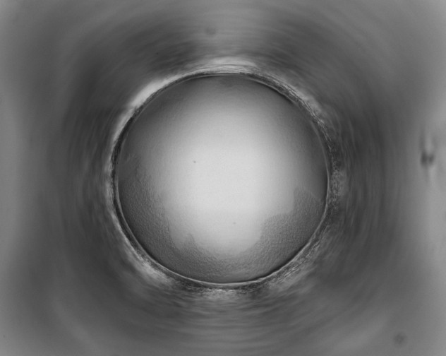 X0000101161470200806270957