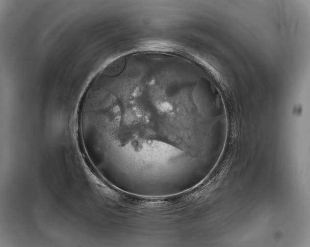 X0000101161471200806270957