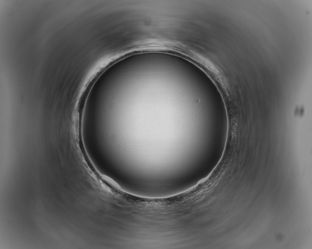 X0000101161472200806270957