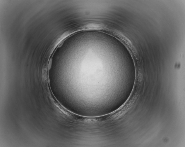 X0000101161473200806270957