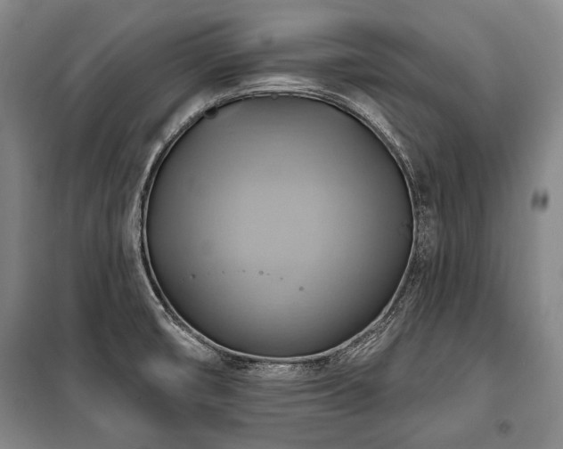 X0000101161474200806270957