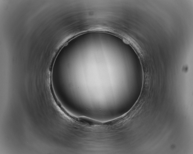 X0000101161476200806270957