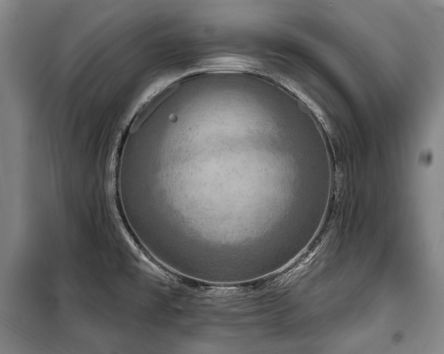 X0000101161477200806270957