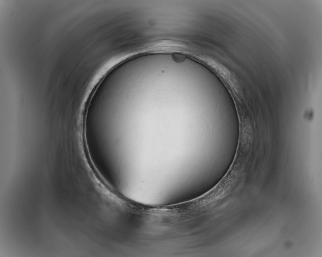 X0000101161478200806270957