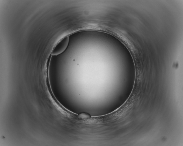 X0000101161479200806270957