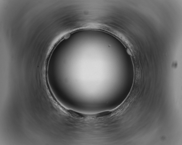 X0000101161480200806270957