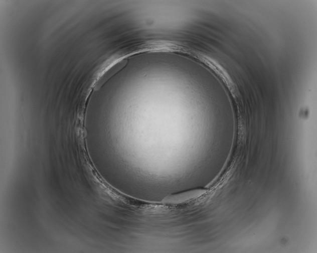 X0000101161481200806270957