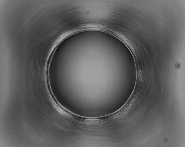 X0000101161482200806270957