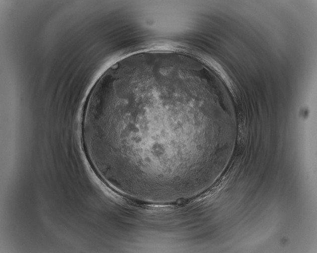 X0000101161483200806270957