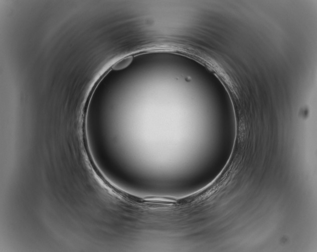X0000101161484200806270957