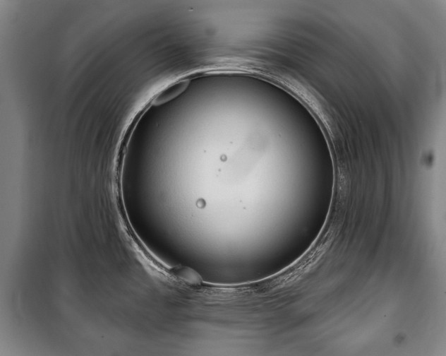 X0000101161485200806270957