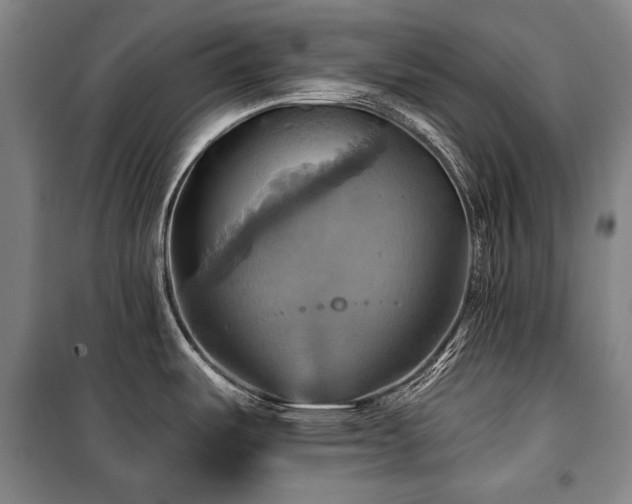X0000101161487200806270957