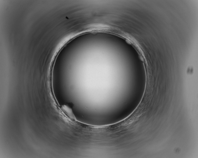 X0000101161488200806270957