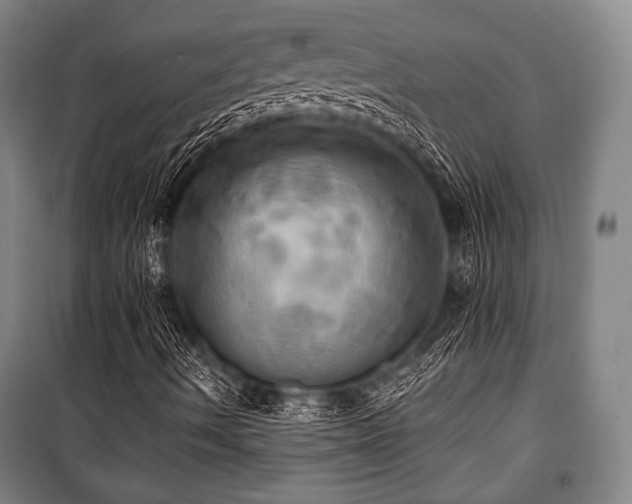 X0000101161490200806270956