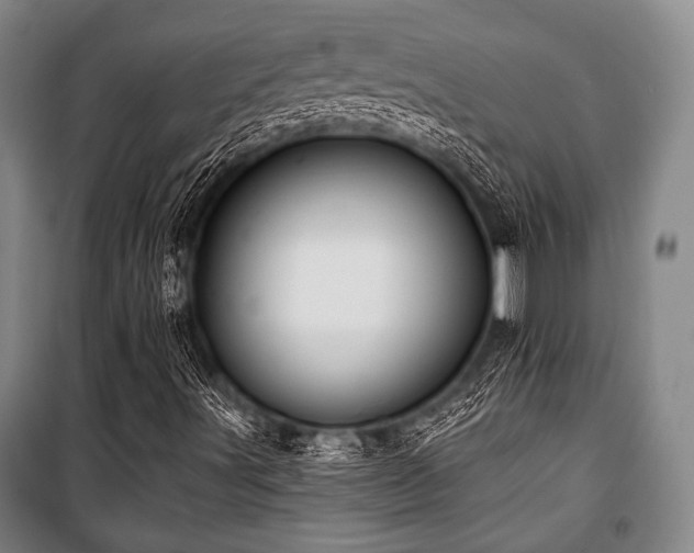 X0000101161491200806270956
