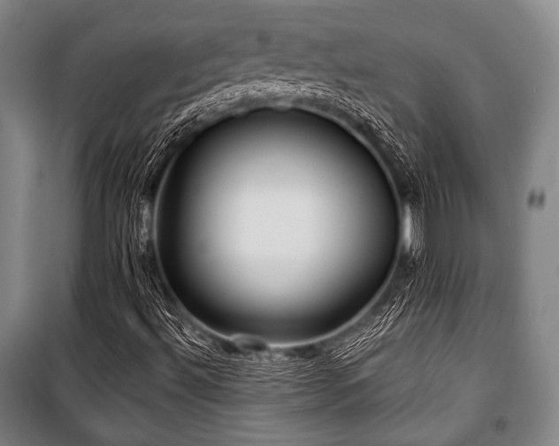 X0000101161492200806270956