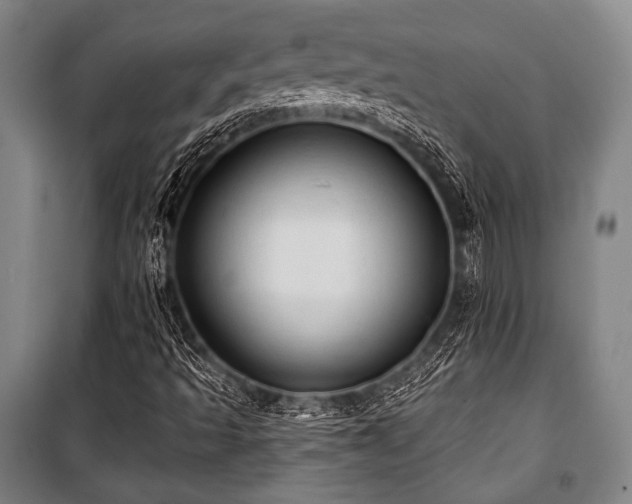 X0000101161493200806270956