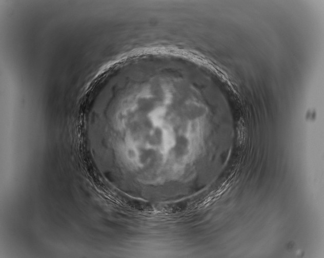 X0000101161494200806270956