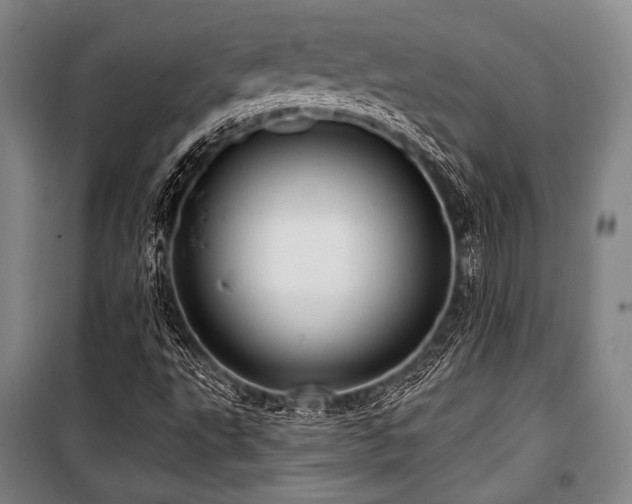 X0000101161495200806270956