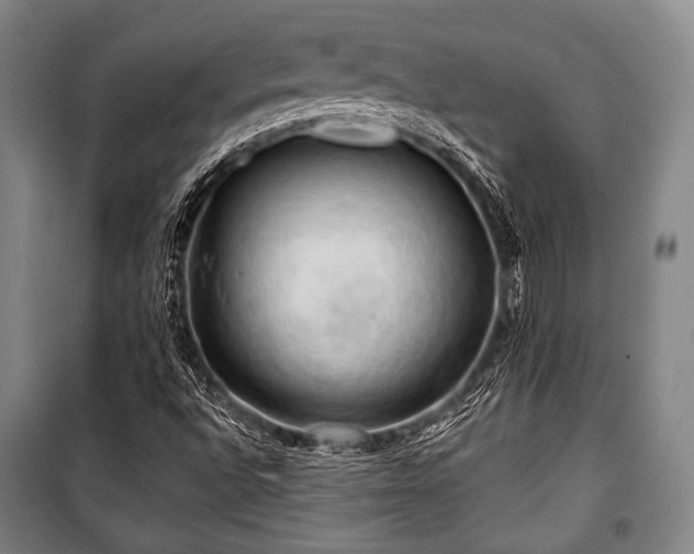X0000101161496200806270956