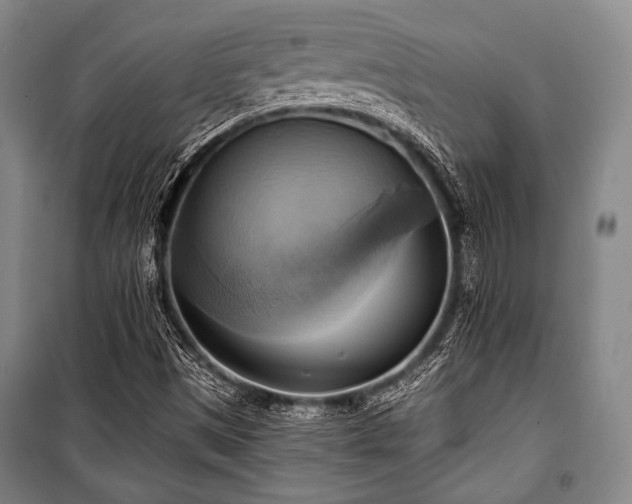 X0000101161497200806270956