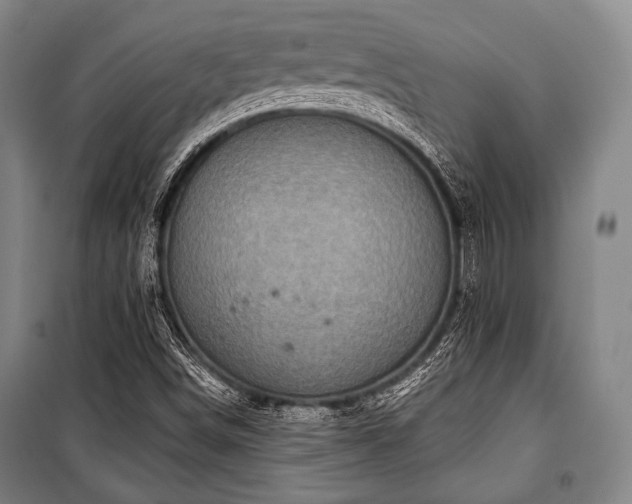 X0000101161498200806270956